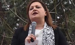 Burcu Köksal Kimdir, Burcu Köksal Hangi Partili?