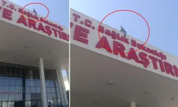 "Bütün gazeteciler gelsin" diyerek intih*ra kalkıştı: Bakın neyle ikna edildi