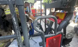 Çatı katında çıkan yangında 10 kedi öldü