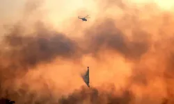 Çıkan orman yangınlarında 12 kişi hayatını kaybetti