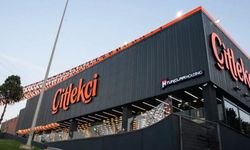 Çitlekçi Mağazacılık ne iş yapar? Çitlekçi kimin, sahibi kimdir?