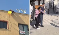 Emlakçı tarafından dolandırılan kadın, canına kıymak istedi