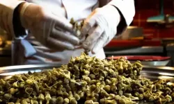 Eski polisin çaldığı 2 ton çiçek bamya davasında 4 kişiye hapis istemi