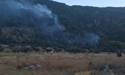 Kahramanmaraş Orman Bölge Müdürlüğünden İslahiye yangını açıklaması