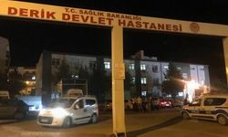 Mardin'de dereye düşen 3 yaşındaki Eslem, hayatını kaybetti
