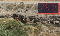 Kahramanmaraş Kavruluyor! Serinlemek İçin Bakın Nereye Gittiler