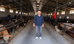 Kahramanmaraş'ta 20 milyon lira hibe ile çiftlik kurdu!