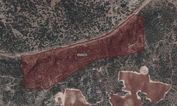 Kahramanmaraş'ta 4 milyonluk dev fıstıklık satılıyor!