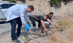 Kahramanmaraş’ta kaçak avcılara ağır ceza 4 kişiye 2 milyon lirayı aşkın ceza