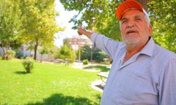 Kahramanmaraş'ta kargalar parkı mesken tuttu!