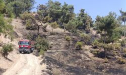 Kahramanmaraş’ta Sıcak Hava Alarmı! Ormanlık Alanda Yangın Çıktı