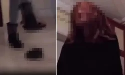 Kaplumbağayı ezerek öldüren kadın serbest bırakıldı
