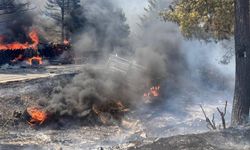 Kaza sonrası araçlar alev aldı, yangın ormana sıçradı: 1 ölü, 2 yaralı
