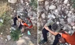 Koskoca adam ile kadının yaptıkları mide bulandırdı