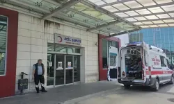 Mantardan zehirlenen yaşlı çift hastaneye kaldırıldı