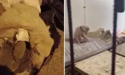Pire istilasına uğrayan sokakta kan donduran görüntüler