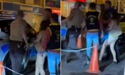Şehrin göbeğinde çırılçıplak dolaşan kadın, bir de polise direndi