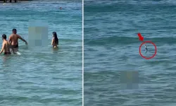 Serinlemek için denize girdiler, karşılarına yılan çıktı!