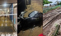 Şiddetli yağışlarda ölü sayısı 10'a yükseldi, bin 499 bina sular altında kaldı