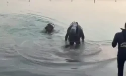 Sulama kanalına giren Mehmet Raşit Atay boğuldu