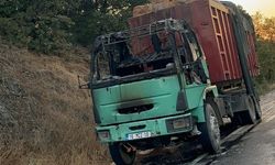 Talaş yüklü TIR alev alev yandı