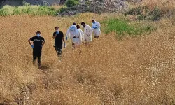 Tarlada Erkek Ces*di Bulundu