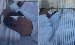 Turistlere Özel 'Kafesli Yatak' Tepki Çekti! Gerçek Sebebi Şaşırttı