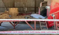 Yem karma makinesine düşen işçi öldü