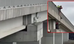 Yüksek viyadükte mahsur kaldı! Keçi için kurtarma operasyonu