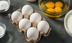Yumurta yiyenler dikkat! 306 kişi hastalandı