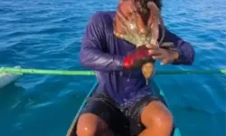 Yüzüne Ahtapot yapışan balıkçı az kalsın ölüyordu!