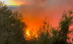 Kahramanmaraş'ın komşu ilinde 2 ayrı noktada orman yangını
