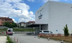 Orman işçisi Şükrü Sucu, arı sokması sonucu öldü