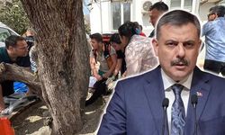 Bakan Çiftçi: Kahramanmaraş’taki okul saldırısı sonrası 243 tutuklama