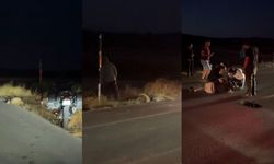 Burdur’da Fransız Turist Koyunlara Çarptı, 3 Koyun Telef Oldu