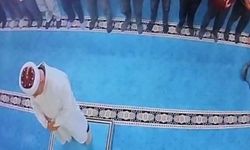 Camide kediyi tekmeleyen şahsa sosyal medyada tepki yağdı