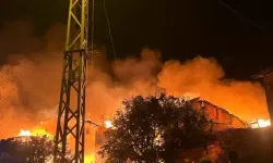 3 ev ve 3 ahır yangında kullanılamaz hale geldi