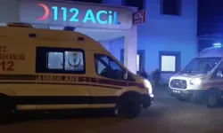 Fıstık bahçesine giren çocuğa bahçe sahibinden tüfekli saldırı