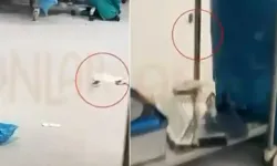Hastanenin ameliyathanesinden skandal görüntü! Hasta masadayken fare dolaştı