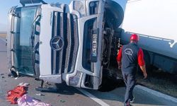 Iğdır’da Yola Çıkan Eşeğe Çarpmamak İçin Manevra Yapan Kamyon Devrildi