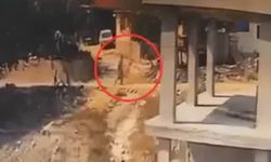 İnşaatta yatan köpeğe sopayla şiddet uyguladı
