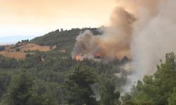 Korkutan orman yangını: 40 ev tahliye edildi