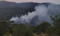 Kahramanmaraş'ın komşu ilinde korkutan orman yangını