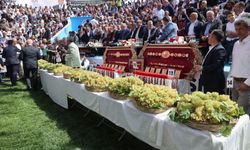Kahramanmaraş’ta 30. Bertiz Boyalı Güreş Festivali heyecanı