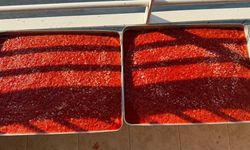 Kahramanmaraş'ta biber çekme fiyatları belli oldu!