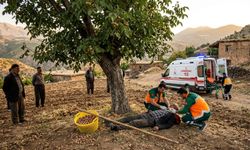 Kahramanmaraş’ta Ceviz Ağacından Düşen Adam Ağır Yaralandı
