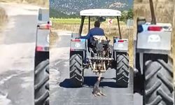 Kahramanmaraş’ta köpeği traktöre bağlayarak sürükledi