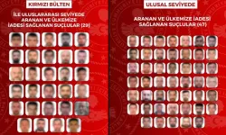 Kırmızı bültenle ve ulusal seviyede aranan 76 suçlu, Türkiye'ye iade edildi