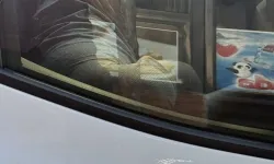 Komşusunu o halde görünce fotoğrafını çekip paylaştı