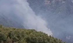 Korkutan orman yangını: Ekiplerin müdahalesi başladı